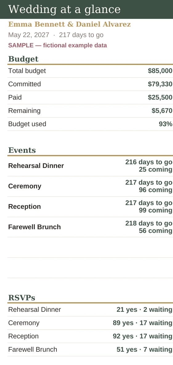 Phone View tab: budget, events with countdowns and family balances in one narrow column